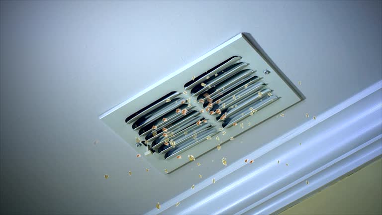 Best HVAC System Cleaning  in Ferrum, VA