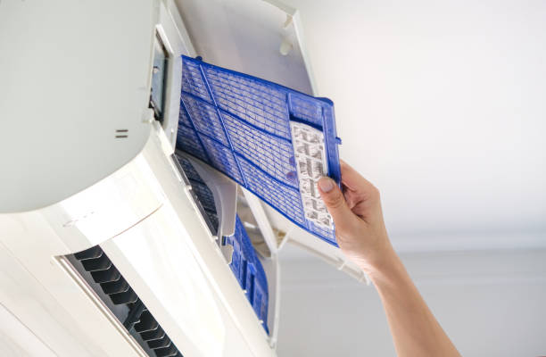 Air Duct Mold Removal in Ferrum, VA