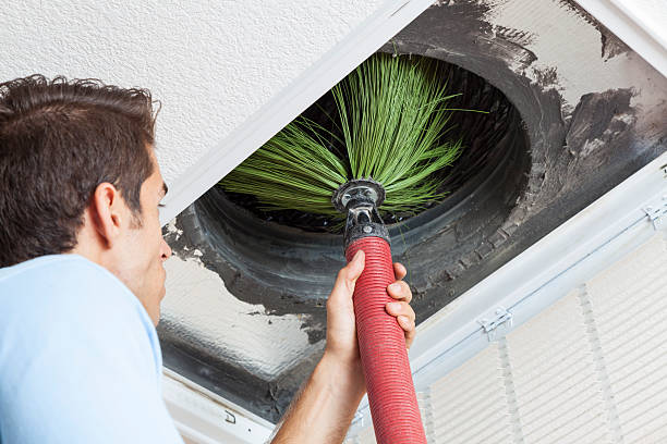 Best Air Duct Mold Removal  in Ferrum, VA